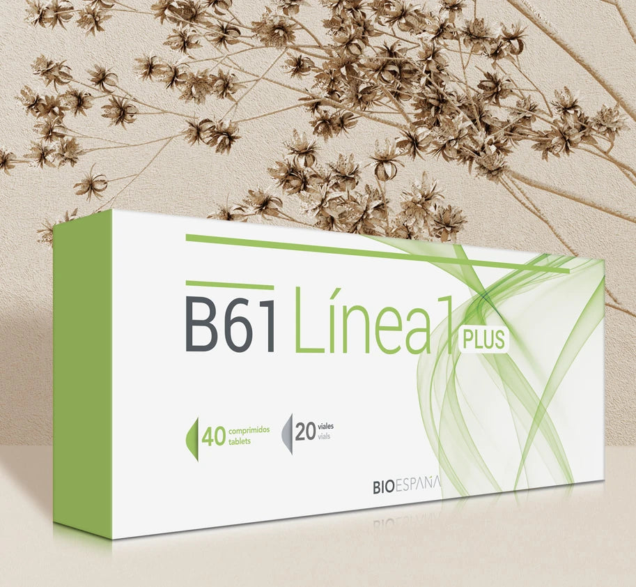 B61 Línea 1 Plus