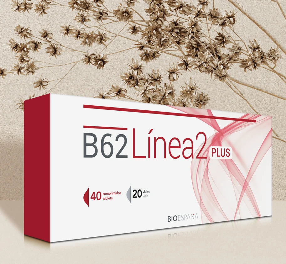 B62 Línea 2 Plus